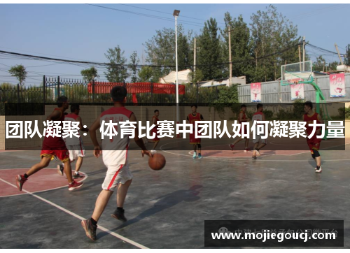 团队凝聚：体育比赛中团队如何凝聚力量