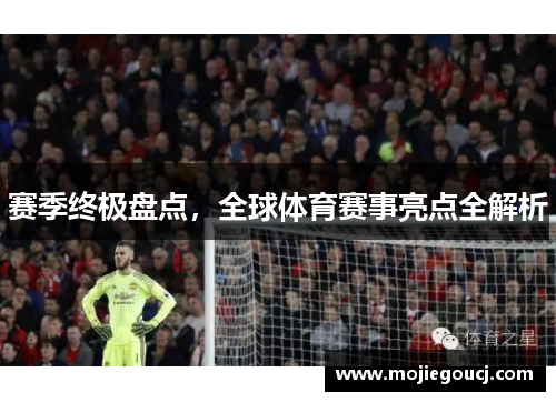 赛季终极盘点，全球体育赛事亮点全解析
