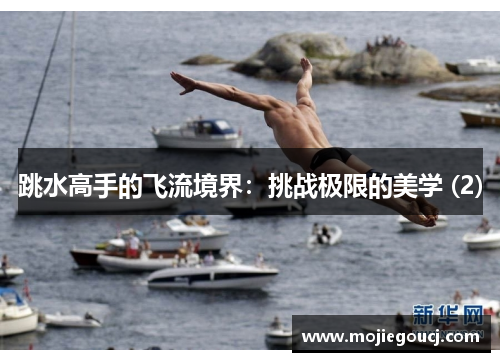 跳水高手的飞流境界：挑战极限的美学 (2)
