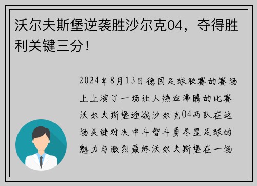 沃尔夫斯堡逆袭胜沙尔克04，夺得胜利关键三分！